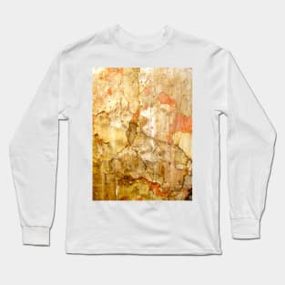 Nature's Abstract Art Long Sleeve T-Shirt